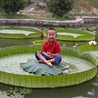 ขนฺตี ปรมํ