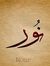 محمد أمين