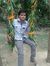 Tapan K...