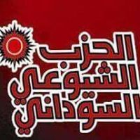 بشير سليمان