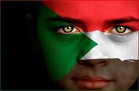 عمرو ابو الحسن