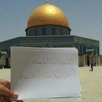 Tasneem Moh'D