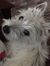 Edie