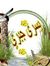 يسرى جبري