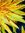 Carol Breslin | 57 comments
