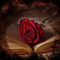 Теодора Драгиева