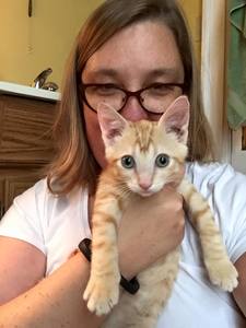 steph (librarianish)