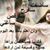 HanOo Atallh