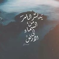 فهيمة الحج محمد