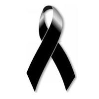 ᏫᏌᎿᏞᎯ ᏁᎠᎥᏚᎻ.