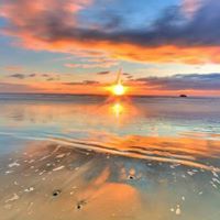 حسن الالمعي