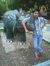Shashan...