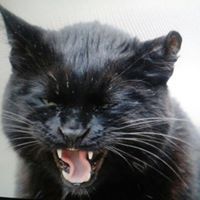 Janicee Lightbrighht