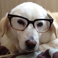 Amanda Uber-Trentham