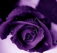 তামান্না হক