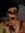 Evane S...