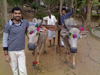 Vijayakumar Kuriminelli