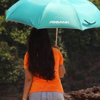 Hoanh Nguyen