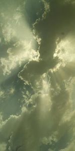 تسنيم الحوشان