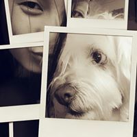 བསྟན་འཛིན་ སྒྲོལ་དཀར་