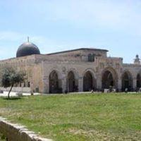 زكريا بحيرى