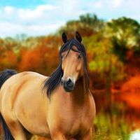 علاء عبدالعال