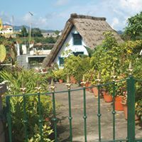 Catherine Arrowsmith