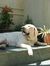 Shubham...
