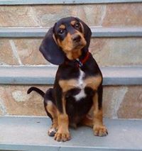 Ελένη Κουκουνάκη