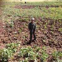 البيطري طويلة