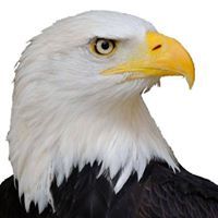 ماسينيسا الأمازيغي