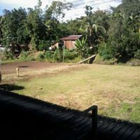 Ansinary Anding