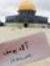 آلاء يوسف