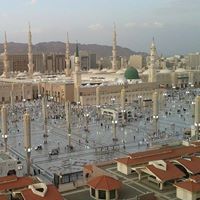 فاضل العبيدي