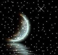 زهرة الليلك