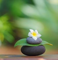 Hồng Hồng