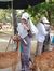 Sharifa...
