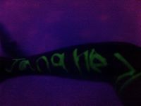 محمود جناحي