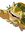 Catbus