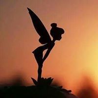 Nour Ahmed