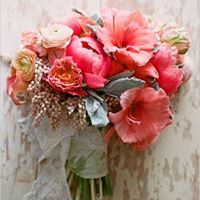 ᏝᏬᏝᏬ ᎯᏝᏕᏋᏧᏋᏋᏅ