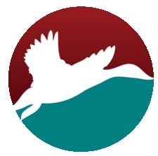 Cinnamonteal Publishing