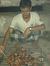 Sajjad ...