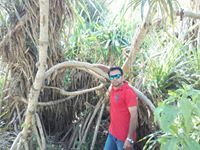 Dinesh Jangid