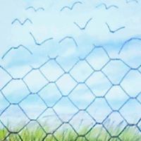 Cesar Vasquez Olcese