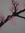 Poetry (poetryjunkies) | 31 comments