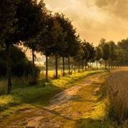 Nguyễn Hữu Bình