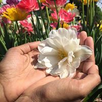 Karthika Ravichandran