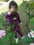 Ansam M...