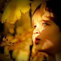 إيمان طه عفيفي